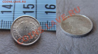 - 1 Tallar 1853 - ? - 1т1953-1