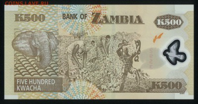Замбия 500 квача 2009 (полимер) unc  23.02.18 22:00 мск - 1