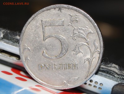 вопросы по разновидностям от ХСВ - DSC04539.JPG