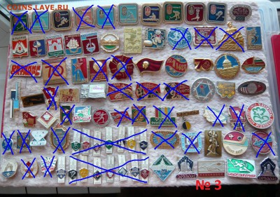 43 шт. - 3.JPG