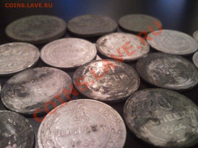 Покапушки - SNC00052