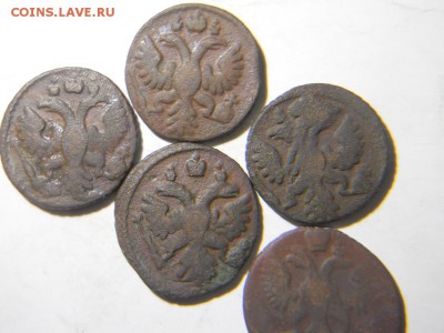 Полушка 1734,35,36,38 год. - DSCN1974.JPG