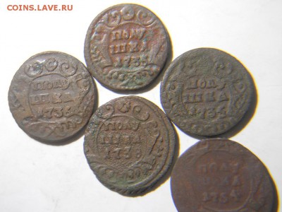 Полушка 1734,35,36,38 год. - DSCN1973.JPG