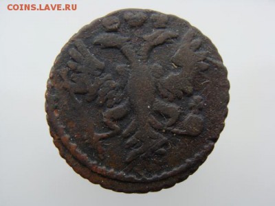 Полушка 1731 год  до 23.02.2018 г - 0586-8.JPG