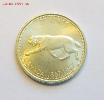 до 22-00мск 23.02.18 - P1040400.JPG