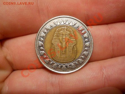 Красивая Монетка - Египет 2. Окончание в 21.30, 7.04.2011 - 2.JPG
