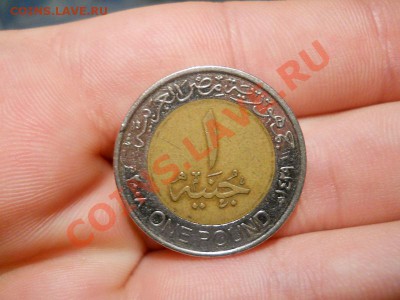 Красивая Монетка - Египет 2. Окончание в 21.30, 7.04.2011 - 1.JPG