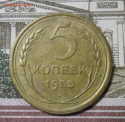 5 коп. 1955 г. приятная ок 26.02.18 в 22.25 по МСК - SAM_1373