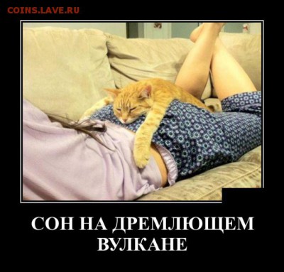 юмор - demotivatorщ9y_15