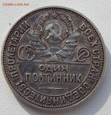 ПОЛТИННИК 1925 (ПЛ)  до 26.02.18 - DSCN8799.JPG