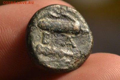 Антика.Македония.Александр Великий до 28.02.2018 22:00 - CSC_0140.JPG