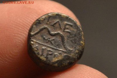Антика.Пергам.200-133 год до н.э Лук до 28.02.2018 22:00 - CSC_0127.JPG