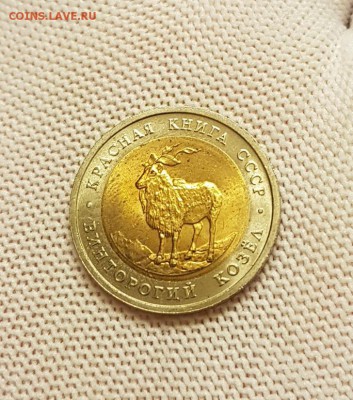 КРАСНАЯ КНИГА 1991 ГОД-2 МОНЕТЫ UNC- С 200 РУБ. ДО 2.03.2018 - 20180224_200207