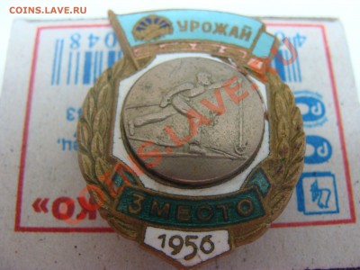 Знак Урожай 1956год на оценку - DSC05703.JPG