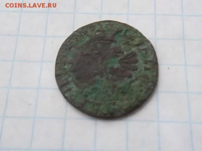 полушка 1707 года - SAM_4274.JPG