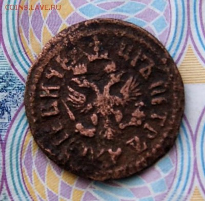 Полушка 1703 года - DSC08757.JPG