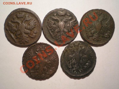 Денга 1738,40,48,49,50 г. до 07.04.11. в 22.00 мв - P4050003.1