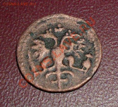 полушка 1721 цифра 7 зеркальная,копейка 1713 г. - SAM_1440.JPG