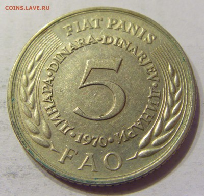 5 динар 1970 ФАО Югославия №1 03.03.2018 22:00 МСК - CIMG1979.JPG