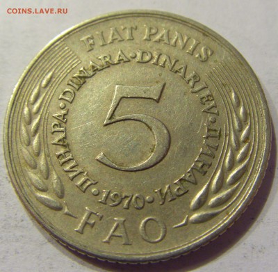 5 динар 1970 ФАО Югославия №2 03.03.2018 22:00 МСК - CIMG1983.JPG