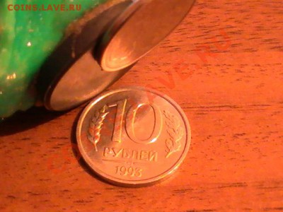 м - PIC_0202.JPG