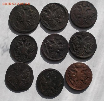 Денги 1731,34,37,40,50,51г. - DSCF3272.JPG