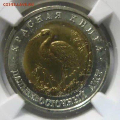3 копейки 1929 - 71065692-1