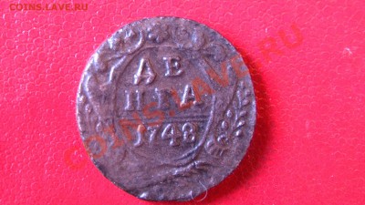 денга 1748 - PIC_2228.JPG