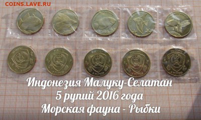 Индонезия Малуку-Селатан 5 рупий 2016 Рыбки. До 28.02. в 22 - 1
