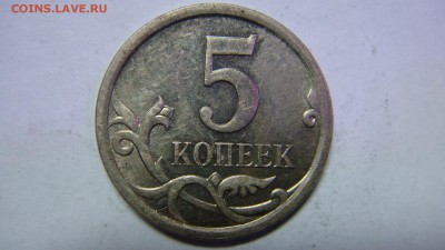 Вопросы по разновиднстям от сахарок - DSC02871.JPG
