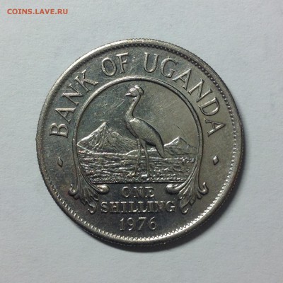 УГАНДА. 1 ШИЛИНГ 1976г - 1 (8)