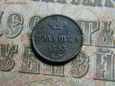 полушка 1853 ем до 1.03 в 21.30 по Москве - Изображение 3819