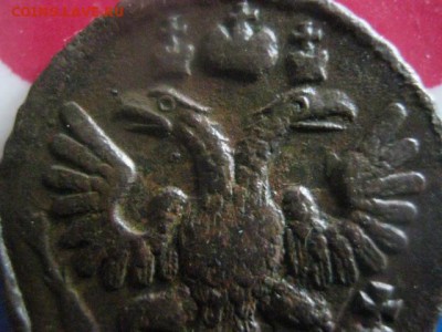 Полушка 1734г. В альбом. До 6.03.2018г. - 012.JPG