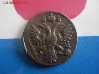 Полушка 1734г. В альбом. До 6.03.2018г. - 007.JPG