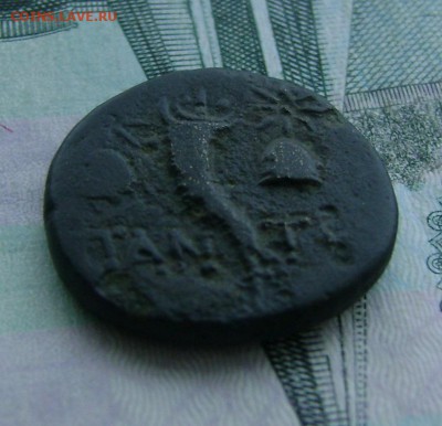 Тетрахалк.Пантикопеи.(Шапки Диоскуров) 03..03.18г в 22.00.мс - DSC04633.JPG