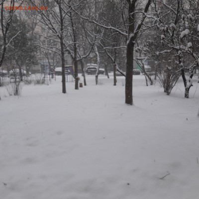 Последний день зимы. Встечаем весну. - 20180301_082129