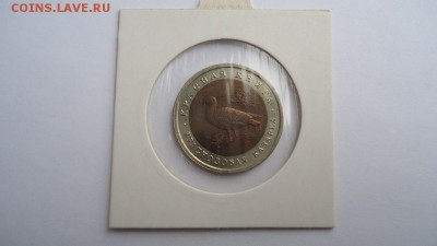 КК 1992 год. БЕЗ ОБРАЩЕНИЯ - DSC08052.JPG