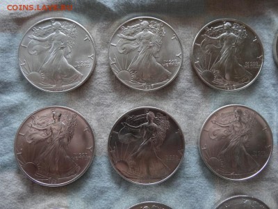 20 монет Свобода, США погодовка 1986-2005 - sv1.JPG