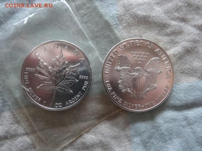 14 монет 1 унция Китай, Мексика, США, Канада, Австралия - 17.JPG
