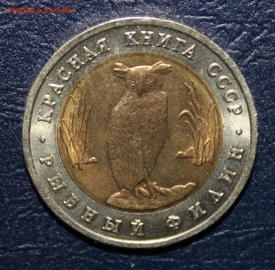 кк Филин с 200р до 5 марта - IMG_8807.JPG