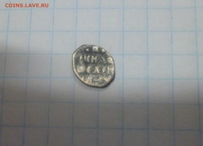 чешуйка  на определение - P1040888.JPG