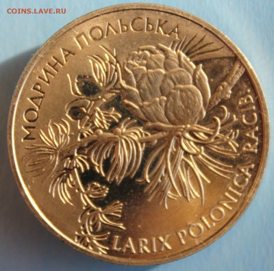 С РУБ. УКРАИНА 2 гривны 2001г. МОДРИНА ПОЛЬСЬКА до 8.3 - IMG_1311.JPG