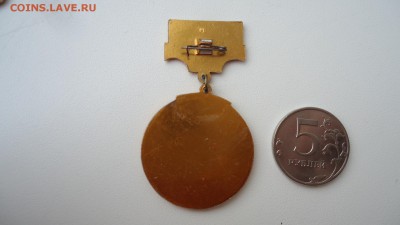 3 МЕСТО ДСО УРОЖАЙ АЛТАЙ - DSC04604.JPG