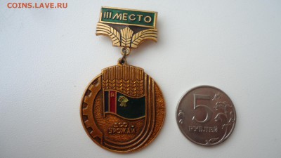 3 МЕСТО ДСО УРОЖАЙ АЛТАЙ - DSC04603.JPG