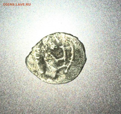 Денга Василия Дмитриевича 1410г - чешуйка2
