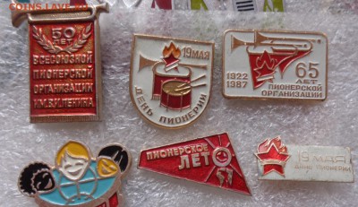 Пионерия  6 шт  до 21-30 мск 7.3 - DSC07121.JPG