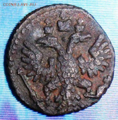 Полушка 1735. До 6.03.В 21-00 МСК. - SAM_8211.JPG