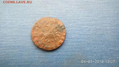 копеечка петровская - 2018030413_6989325_29547831
