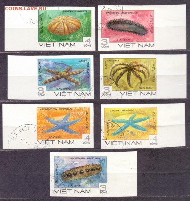 Вьетнам, морская фауна, гашеные, до 06.03.18 22:00 МСК - вьетнам звезды