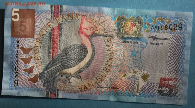 С РУБ. СУРИНАМ 5 гульденов  ПТИЧКА до 10.03 в 22-00 - IMG_1374.JPG